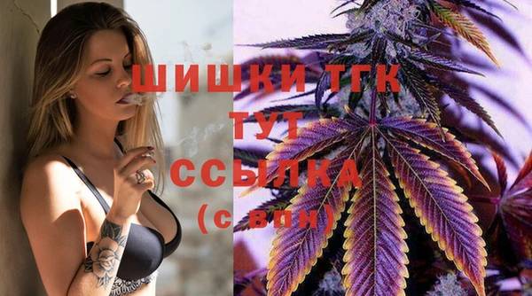 шишки Абинск