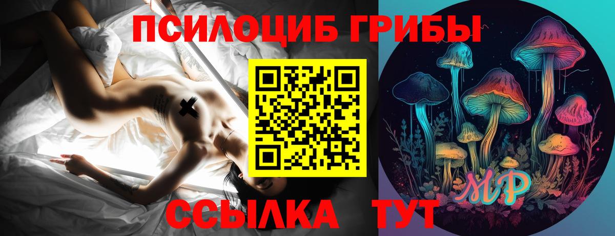 Псилоцибиновые грибы GOLDEN TEACHER Гагарин