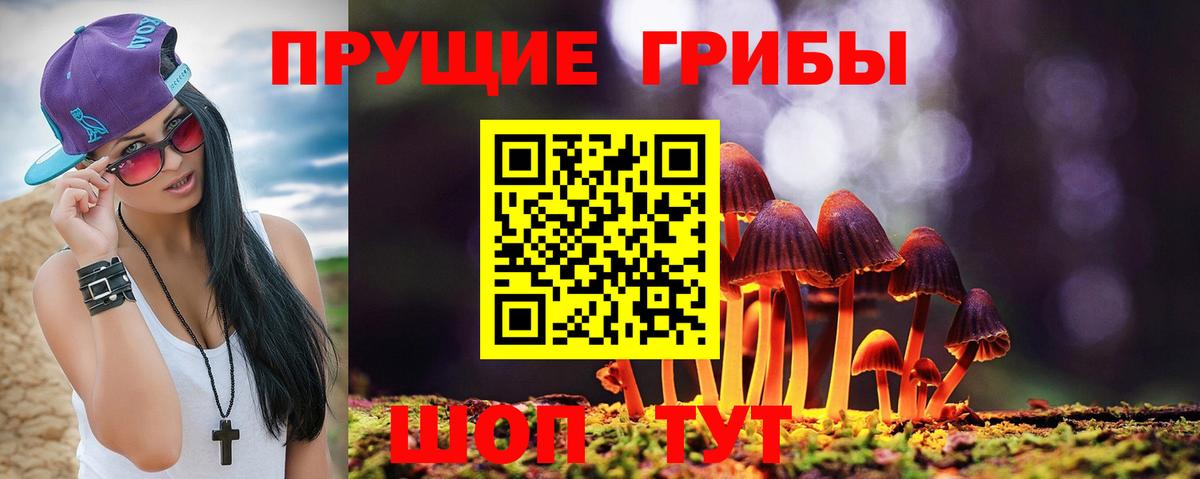 Гагарин  Галлюциногенные грибы Psilocybine cubensis  Вход с VPN  Псилоцибиновые грибы ЛСД 